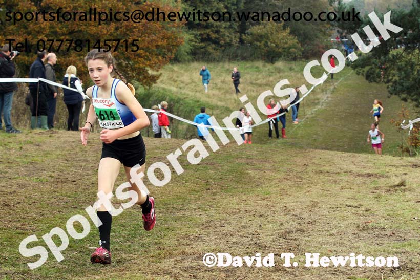 Girls under-13s, National Cross Country Relays, Berry Park, Mansfield. Photo: David T. Hewitson/Sports for All Pics